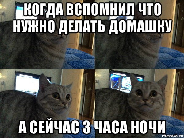 когда вспомнил что нужно делать домашку а сейчас 3 часа ночи, Мем  Кот в шоке