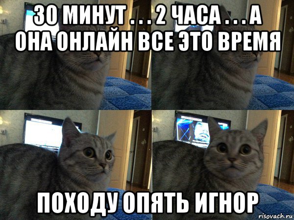 30 минут . . . 2 часа . . . а она онлайн все это время походу опять игнор, Мем  Кот в шоке