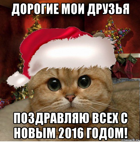 дорогие мои друзья поздравляю всех с новым 2016 годом!