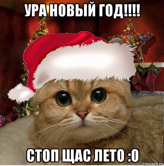 ура новый год!!!! стоп щас лето :0, Мем Котенька