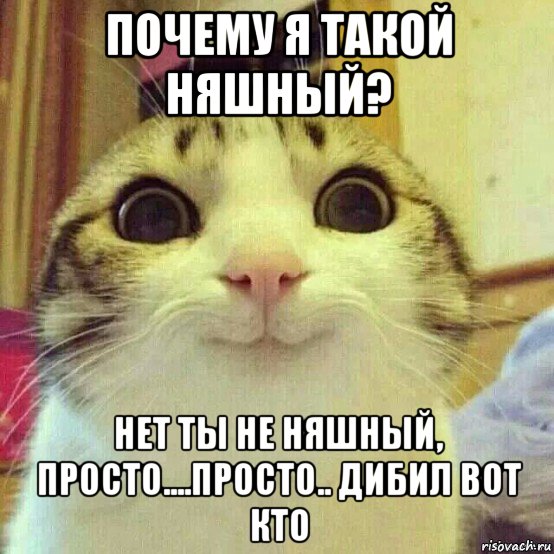 почему я такой няшный? нет ты не няшный, просто....просто.. дибил вот кто, Мем       Котяка-улыбака