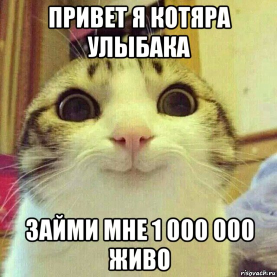 привет я котяра улыбака займи мне 1 000 000 живо, Мем       Котяка-улыбака