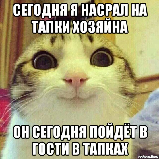 сегодня я насрал на тапки хозяйна он сегодня пойдёт в гости в тапках, Мем       Котяка-улыбака