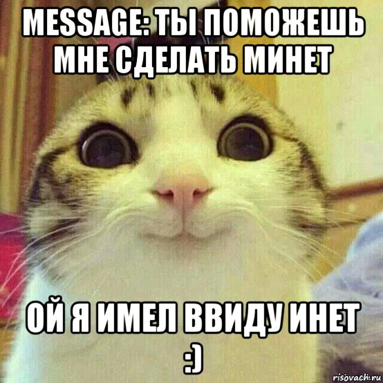 message: ты поможешь мне сделать минет ой я имел ввиду инет :), Мем       Котяка-улыбака