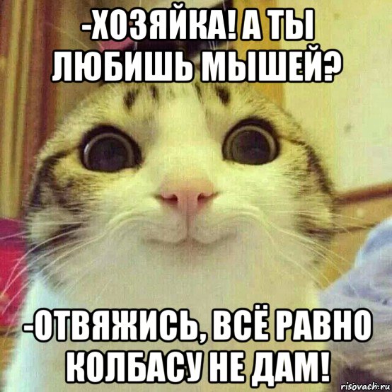 -хозяйка! а ты любишь мышей? -отвяжись, всё равно колбасу не дам!, Мем       Котяка-улыбака