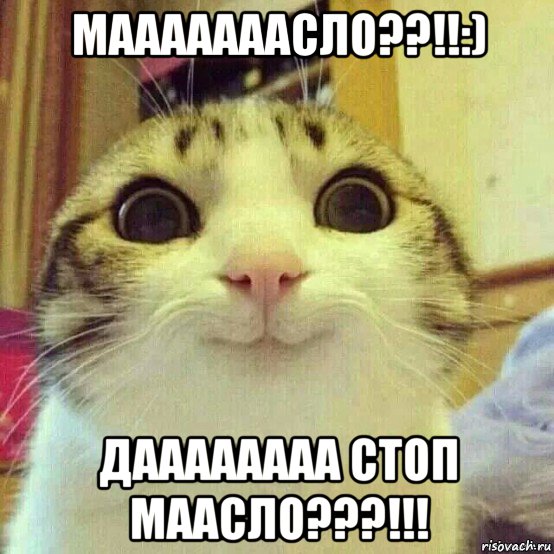 мааааааасло??!!:) даааааааа стоп маасло???!!!, Мем       Котяка-улыбака