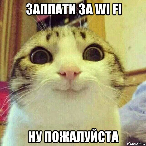 заплати за wi fi ну пожалуйста, Мем       Котяка-улыбака