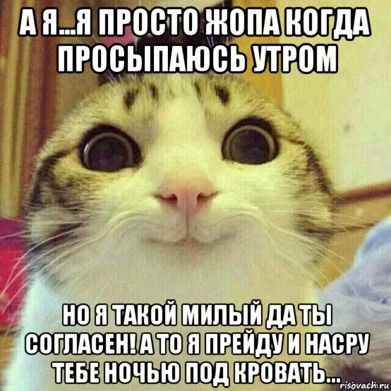 а я...я просто жопа когда просыпаюсь утром но я такой милый да ты согласен! а то я прейду и насру тебе ночью под кровать..., Мем       Котяка-улыбака