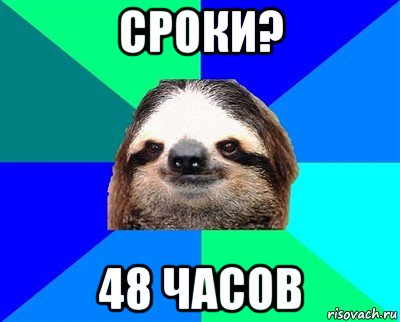 сроки? 48 часов