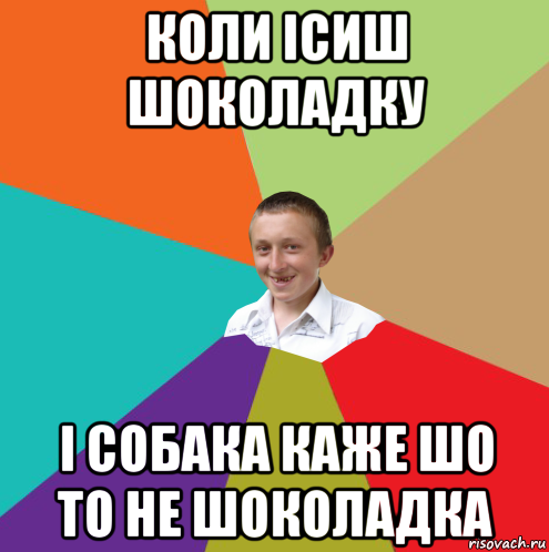 коли ісиш шоколадку і собака каже шо то не шоколадка, Мем  малый паца