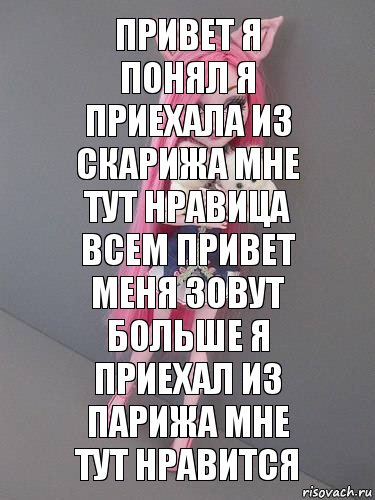 Привет я понял Я приехала из скарижа мне тут нравица
Всем привет Меня зовут больше я приехал из Парижа мне тут нравится, Комикс монстер хай новая ученица