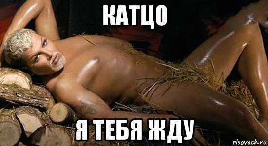 катцо я тебя жду