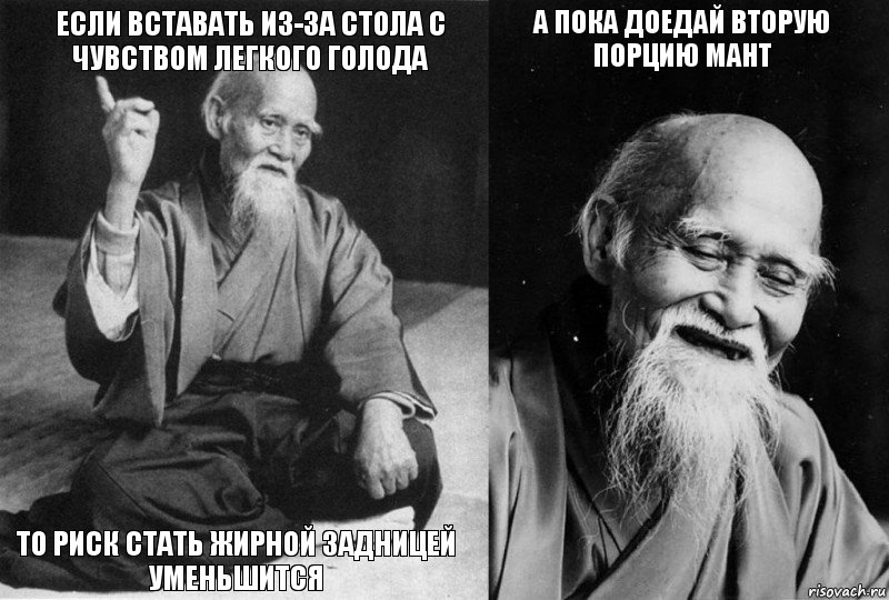 если вставать из-за стола с чувством легкого голода то риск стать жирной задницей уменьшится а пока доедай вторую порцию мант , Комикс Мудрец-монах (4 зоны)