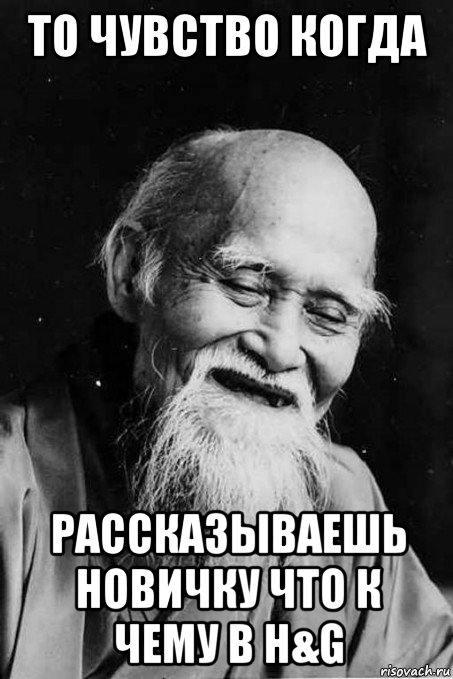 то чувство когда рассказываешь новичку что к чему в h&g, Мем мудрец улыбается