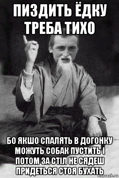 пиздить ёдку треба тихо бо якшо спалять в догонку можуть собак пустить і потом за стіл не сядеш придеться стоя бухать, Мем Мудрий паца