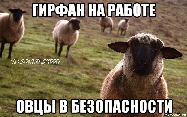 гирфан на работе овцы в безопасности, Мем  Наивная Овца