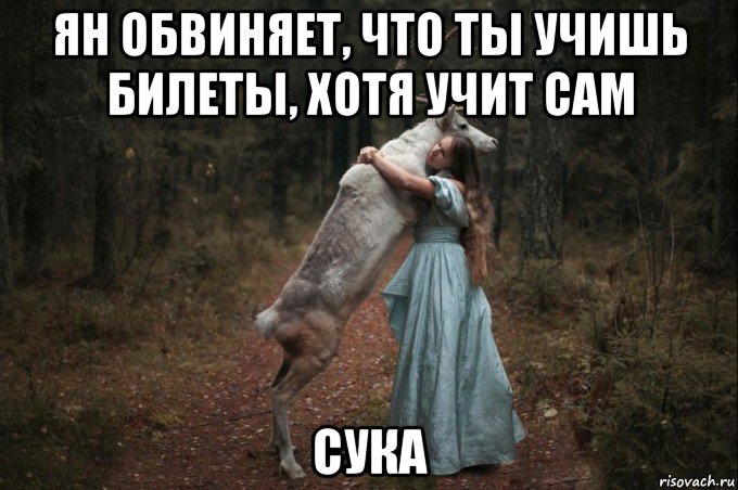 ян обвиняет, что ты учишь билеты, хотя учит сам сука, Мем Наивный Олень шаблон 5