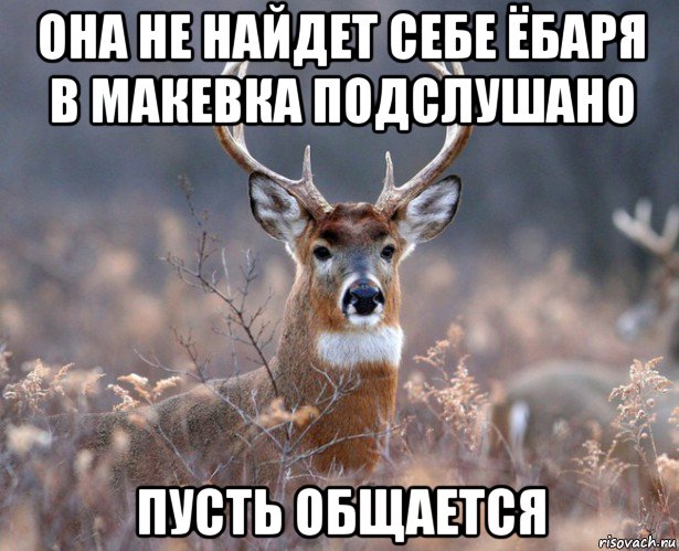 она не найдет себе ёбаря в макевка подслушано пусть общается, Мем   Наивный олень