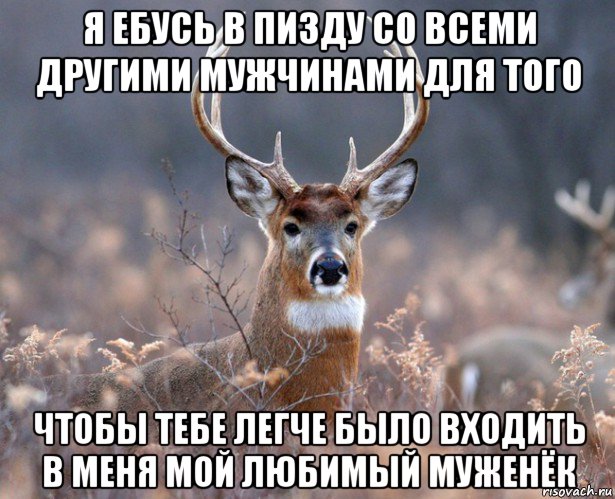 я ебусь в пизду со всеми другими мужчинами для того чтобы тебе легче было входить в меня мой любимый муженёк, Мем   Наивный олень