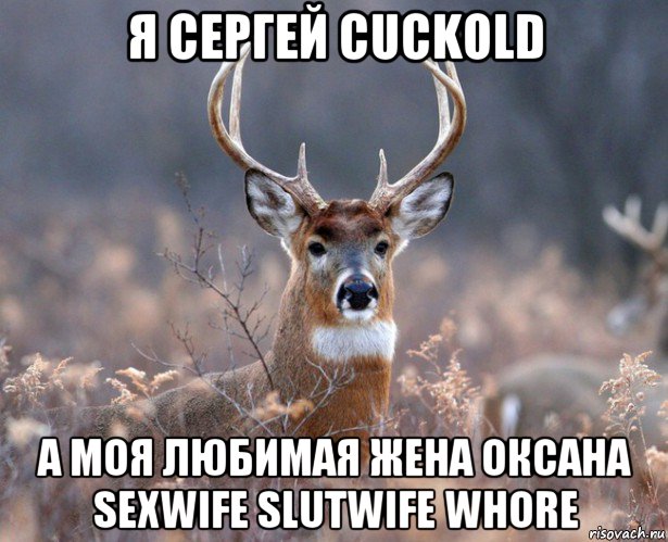 я сергей cuckold а моя любимая жена оксана sexwife slutwife whore, Мем   Наивный олень