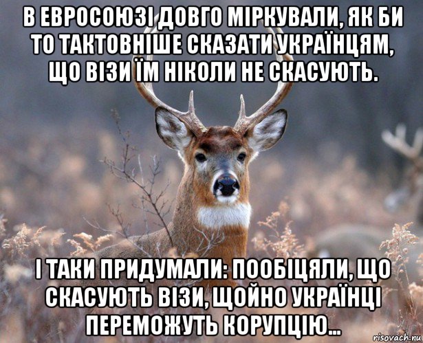 в евросоюзі довго міркували, як би то тактовніше сказати українцям, що візи їм ніколи не скасують. і таки придумали: пообіцяли, що скасують візи, щойно українці переможуть корупцію…, Мем   Наивный олень