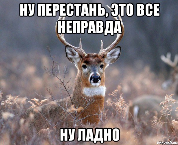 ну перестань, это все неправда ну ладно, Мем   Наивный олень