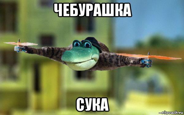 чебурашка сука