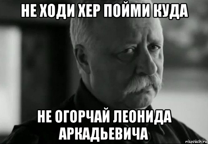 не ходи хер пойми куда не огорчай леонида аркадьевича, Мем Не расстраивай Леонида Аркадьевича