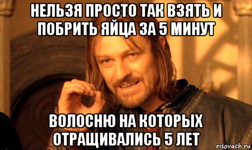 нельзя просто так взять и побрить яйца за 5 минут волосню на которых отращивались 5 лет, Мем Нельзя просто так взять и (Боромир мем)