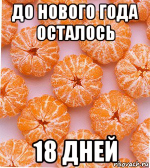 до нового года осталось 18 дней