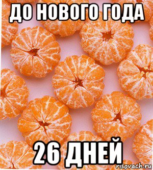 до нового года 26 дней