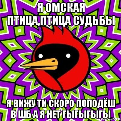 я омская птица,птица судьбы я вижу ти скоро поподёш в шб а я нет гыгыгыгы, Мем Омская птица