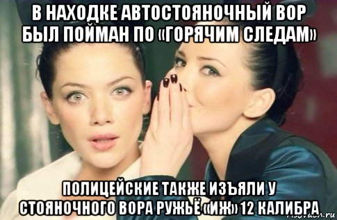 в находке автостояночный вор был пойман по «горячим следам» полицейские также изъяли у стояночного вора ружьё «иж» 12 калибра, Мем  Он