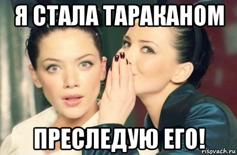 я стала тараканом преследую его!, Мем  Он