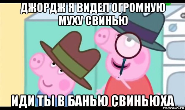 джордж я видел огромную муху свинью иди ты в банью свиньюха, Мем  Пеппа холмс