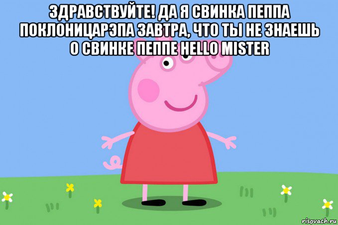 здравствуйте! да я свинка пеппа поклоницарэпа завтра, что ты не знаешь о свинке пеппе hello mister , Мем Пеппа