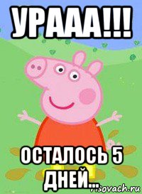 урааа!!! осталось 5 дней..., Мем  Peppa