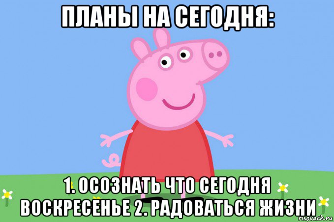 планы на сегодня: 1. осознать что сегодня воскресенье 2. радоваться жизни, Мем Пеппа