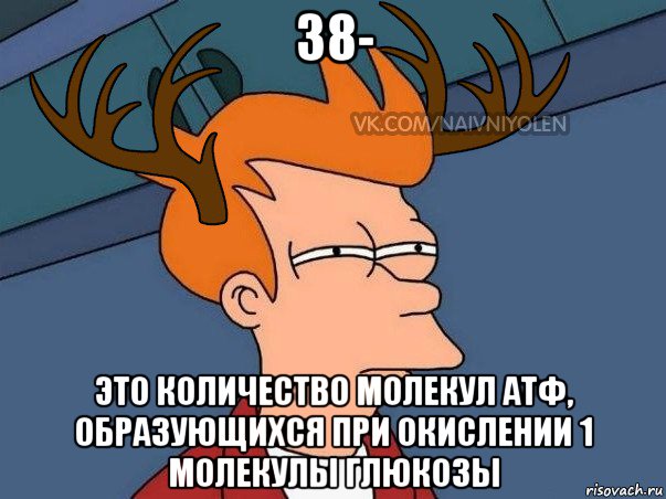 38- это количество молекул атф, образующихся при окислении 1 молекулы глюкозы, Мем  Подозрительный олень