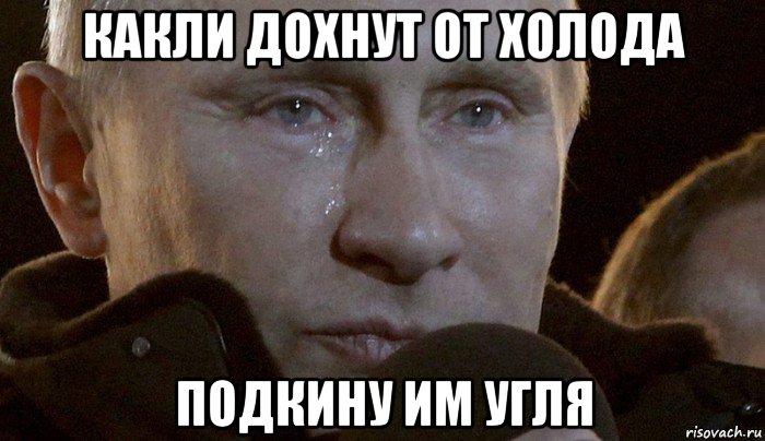 какли дохнут от холода подкину им угля, Мем Плачущий Путин