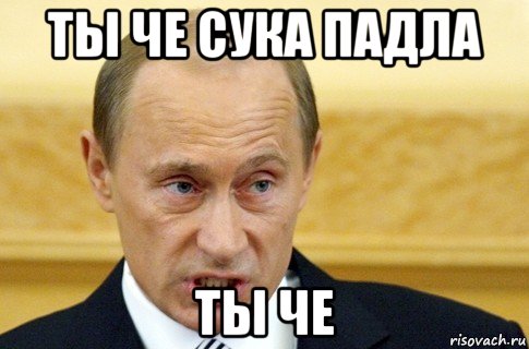 ты че сука падла ты че, Мем путин