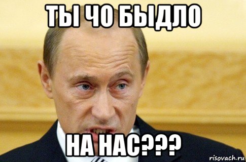 ты чо быдло на нас???, Мем путин