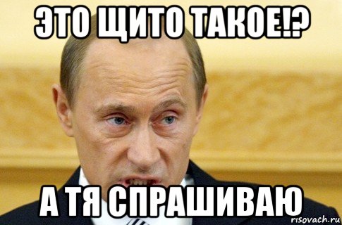 это щито такое!? а тя спрашиваю, Мем путин