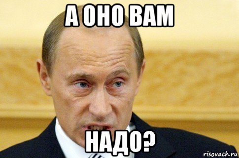 а оно вам надо?, Мем путин