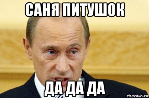 саня питушок да да да, Мем путин