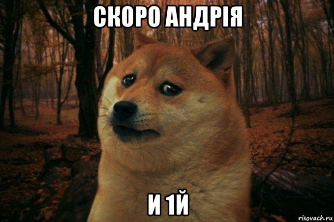 скоро андрія и 1й, Мем SAD DOGE