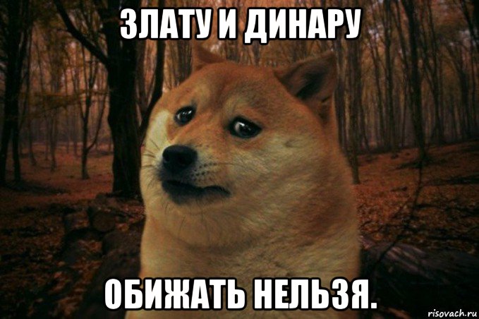 злату и динару обижать нельзя., Мем SAD DOGE