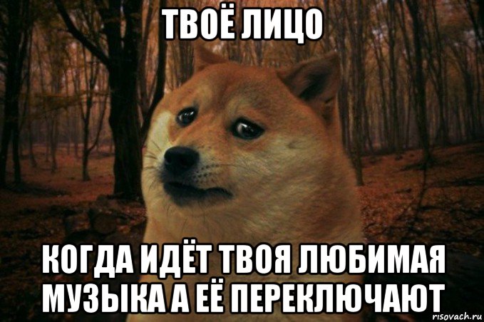 твоё лицо когда идёт твоя любимая музыка а её переключают, Мем SAD DOGE