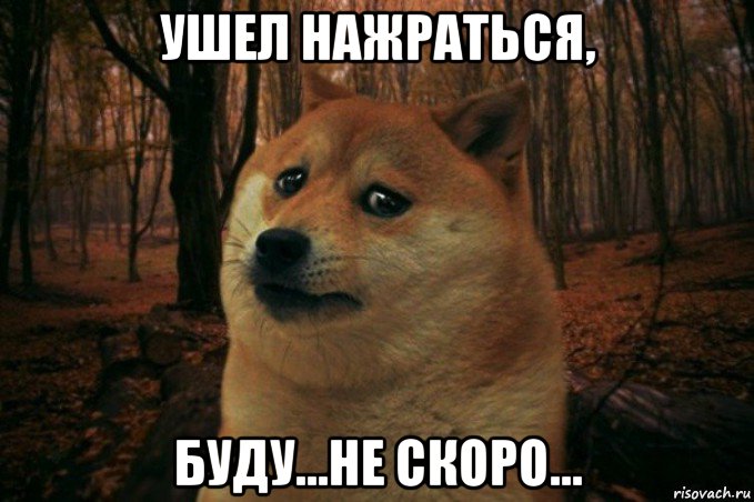 ушел нажраться, буду...не скоро..., Мем SAD DOGE