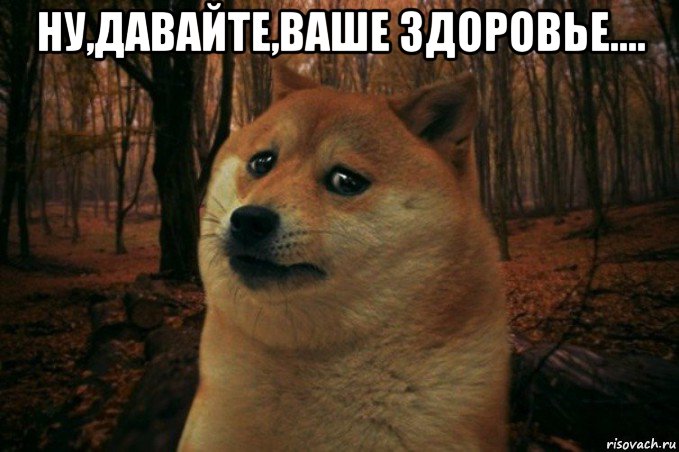 ну,давайте,ваше здоровье.... , Мем SAD DOGE